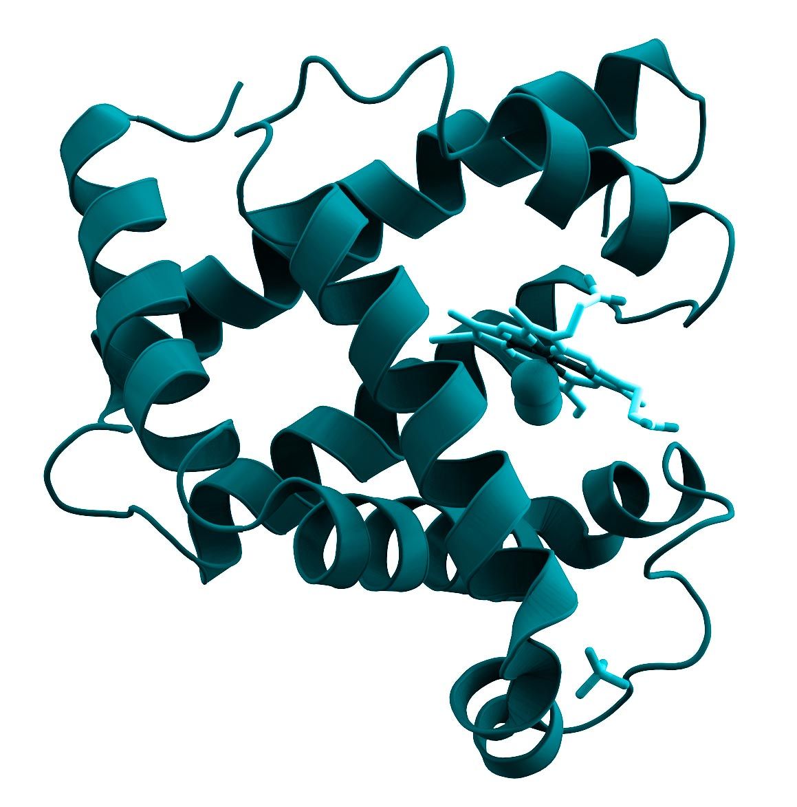 diagrama-de-ribbons-1